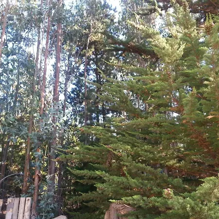 Summer & Summer Pichilemu Exterior photo
