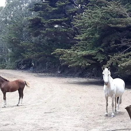 Summer & Summer Pichilemu Exterior photo