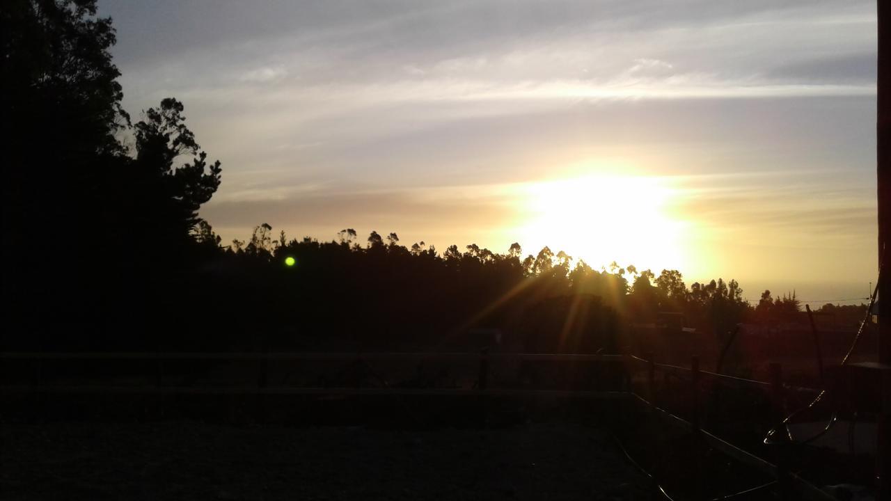 Summer & Summer Pichilemu